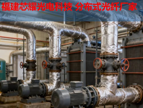 分布式光纖技術如何應用于英語教學？跨學科融合的無限可能。