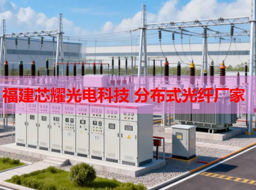 2026年套管外光纖監測技術排行推薦