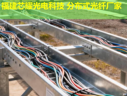 浙江前沿科技：新型分布式光纖技術引領未來，福建芯耀光電實力推薦