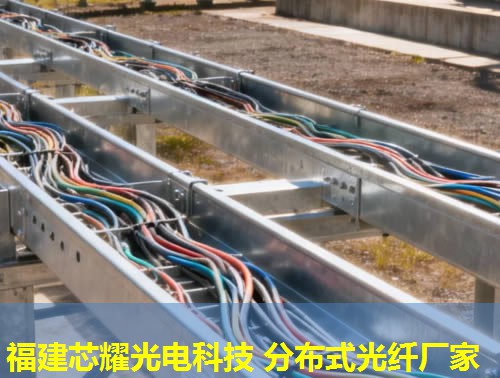 分布式光纖聲波技術市場前景廣闊，福建芯耀光電引領創新浪潮