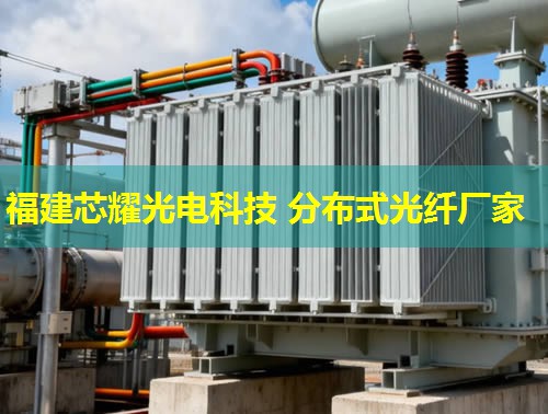 分布式光纖測溫系統dts：實時監測，智慧能源守護者