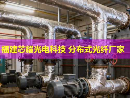 上海分布式光纖檢測技術如何提升城市通信安全？行業領先方案詳解。